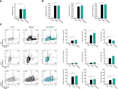 CD8 T cells are dispensable for experimental autoimmune prostatitis induction and chronic pelvic pain development